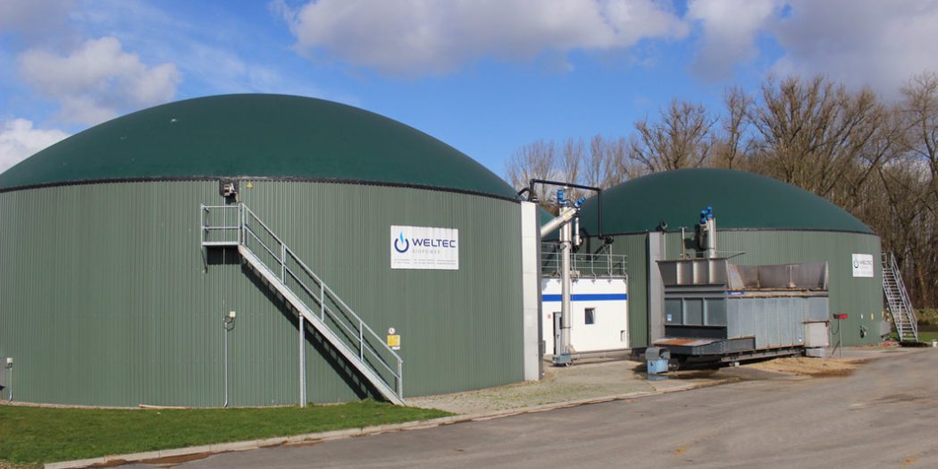 Biogas Plant - Green Vegetables Gas Up